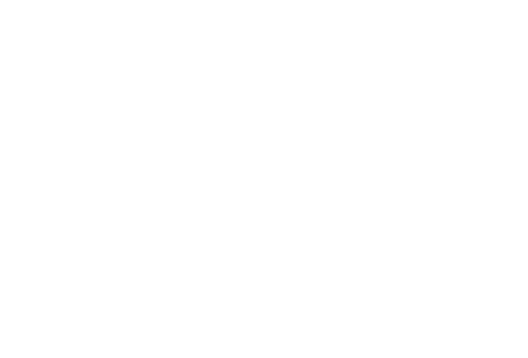 Vierra